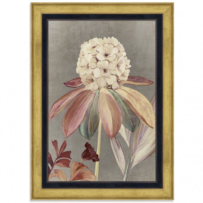 Conjunto de 2 cuadros de flores estilo con clásico con marco - Cuadrostock