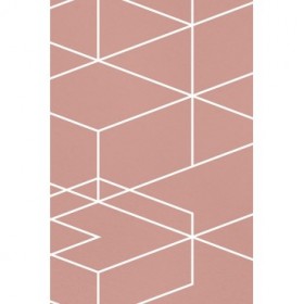 Rose Geometric 2 - Cuadrostock