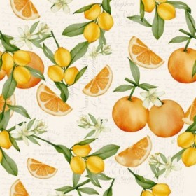 Citrus Fruit Pattern - Cuadrostock