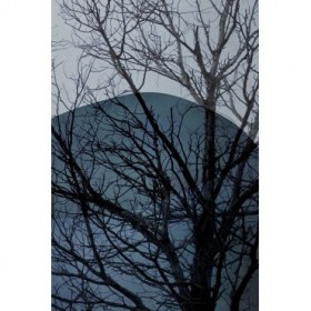 Blue Tree 2 - Cuadrostock