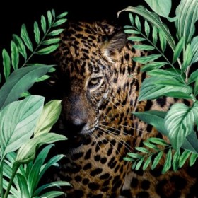 Jungle Leopard - Cuadrostock