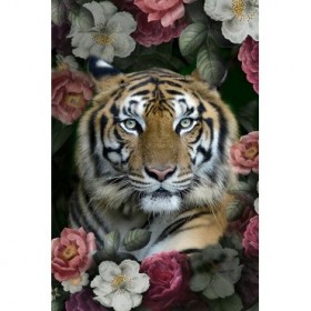 Lush Garden Tiger - Cuadrostock