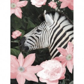 Floral Zebra - Cuadrostock
