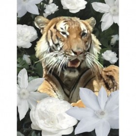 Floral Tiger - Cuadrostock