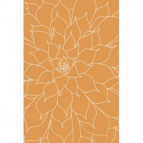 Succulent Tangerine - Cuadrostock