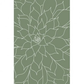 Succulent Sage Green - Cuadrostock