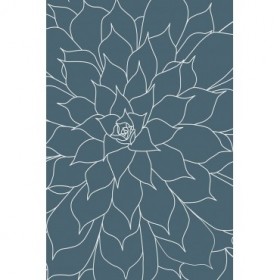Succulent Blue Stone - Cuadrostock