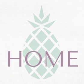 Home Pineapple - Cuadrostock