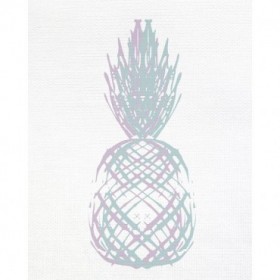 Pineapple Layers 2 - Cuadrostock
