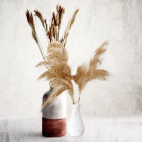 Dried Autumn Vases - Cuadrostock