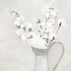 Vase Of Cotton - Cuadrostock