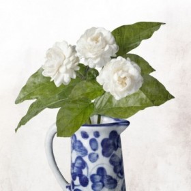 Printed Vase 1 - Cuadrostock