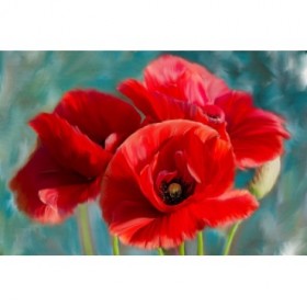 Poppies Blue - Cuadrostock