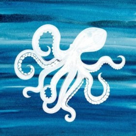 Ombre Octopus - Cuadrostock