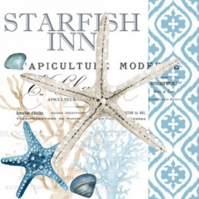 Starfish Tours 2 - Cuadrostock
