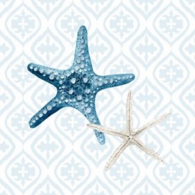 Starfish Tours Pattern - Cuadrostock