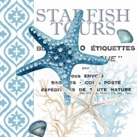 Starfish Tours - Cuadrostock