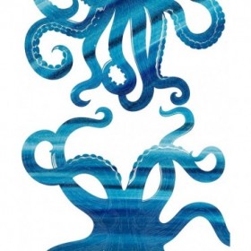 Ombre Octopus - Cuadrostock