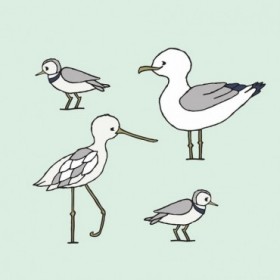 Beach Birds 1 - Cuadrostock