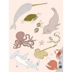 Sea Creatures - Cuadrostock