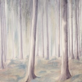 Forest Dreams 1 - Cuadrostock