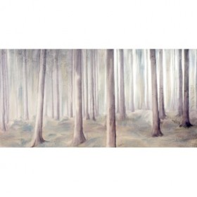 Forest Dreams - Cuadrostock