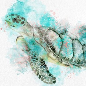 Turtle Swim - Cuadrostock