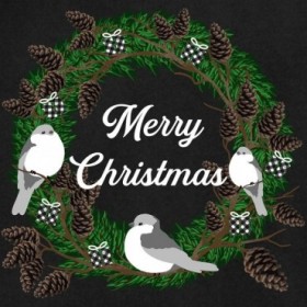 Merry Christmas Birds - Cuadrostock