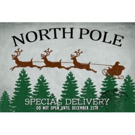 North Pole Delivery - Cuadrostock