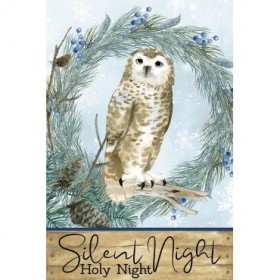 Winter Owl - Cuadrostock