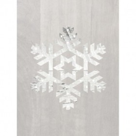 Wooden Snowflake Driftwood 3 - Cuadrostock