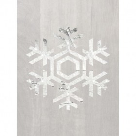 Wooden Snowflake Driftwood 2 - Cuadrostock