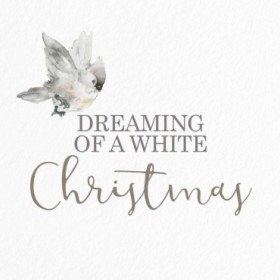 Dreaming Of A White Christmas Bird - Cuadrostock