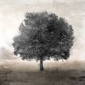 Tree Silhouette 2 - Cuadrostock