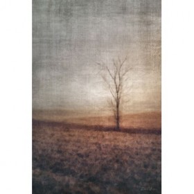 Lone Tree - Cuadrostock