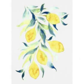 Watercolor Lemons - Cuadrostock