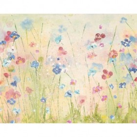 Forget-Me-Not - Cuadrostock