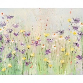Clematis - Cuadrostock