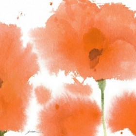 Red Orange Poppies - Cuadrostock