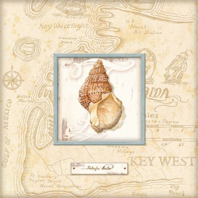 Sea Treasure I