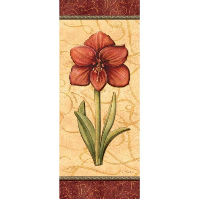 Red Passion Amaryllis