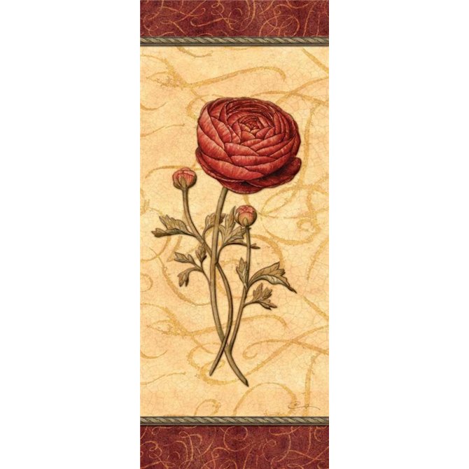 Red Passion Renonculus