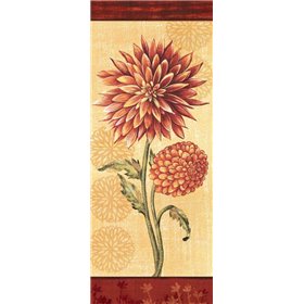 Dahlia II
