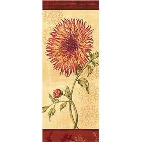 Dahlia III