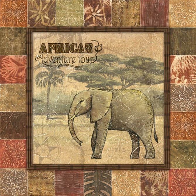 Safari II
