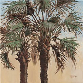 Twin Palms - Cuadrostock