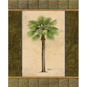 East Indies Palm I - Cuadrostock