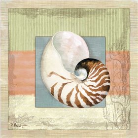 Montego Nautilus