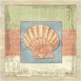 Montego Scallop - Cuadrostock