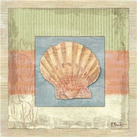 Montego Scallop - Cuadrostock